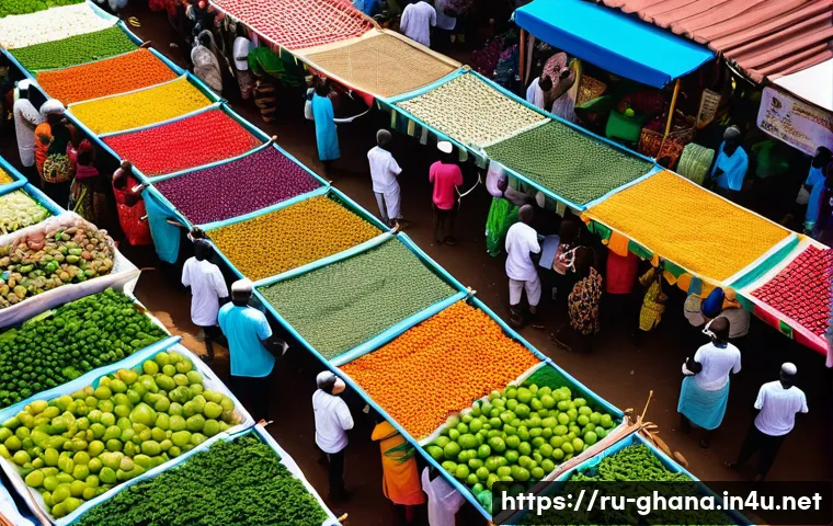 가나에서 드론 촬영이 가능한 지역 관련 이미지 1