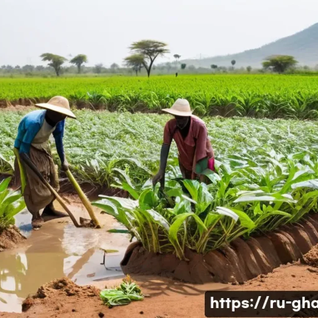 가나에서 발생한 유명 사건 사고 - A detailed scene of Ghanaian farmers in a rural field during a prolonged drought, showing cracked dr...