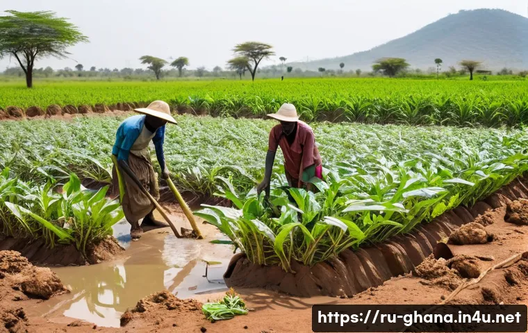 가나에서 발생한 유명 사건 사고 - A detailed scene of Ghanaian farmers in a rural field during a prolonged drought, showing cracked dr...